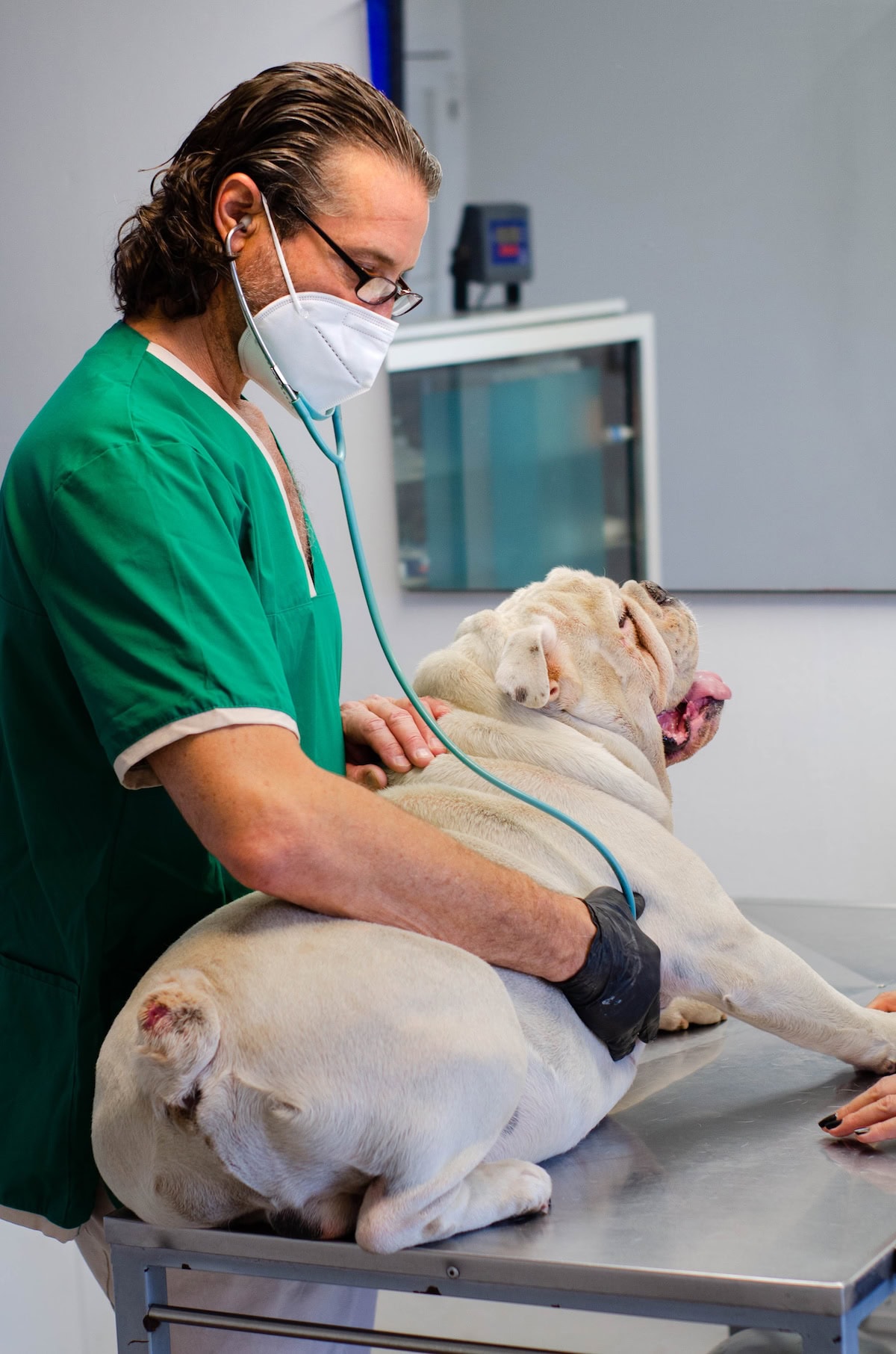 DSC 3240 - Clínica Veterinaria Seres en Córdoba