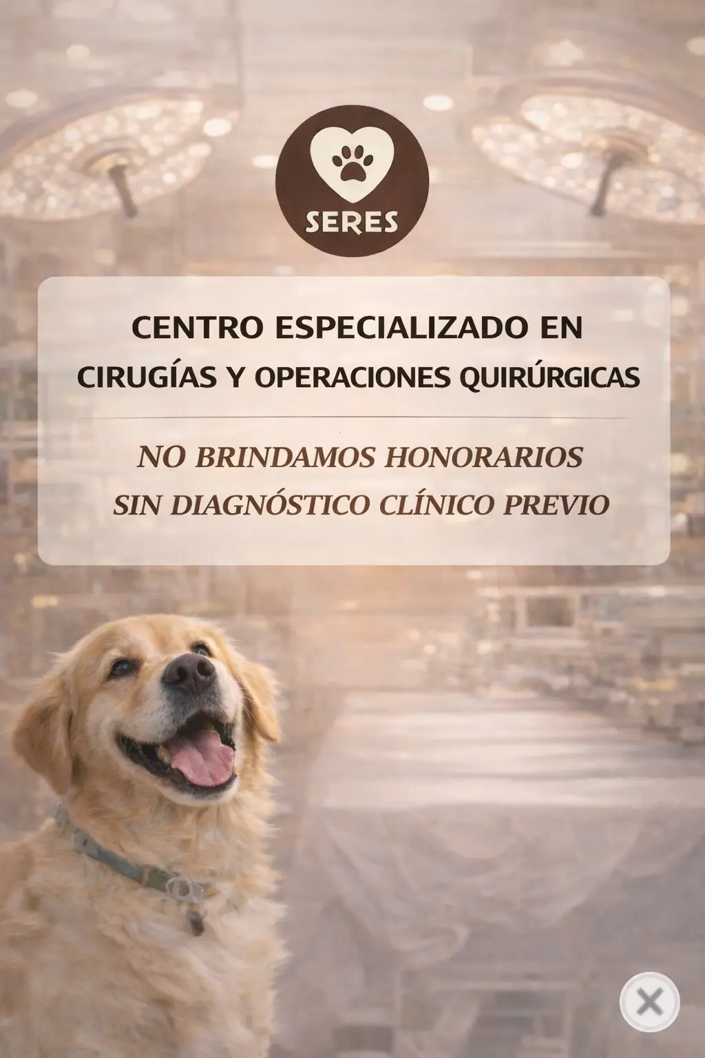 ChatGPT Image 6 mar 2026, 04_35_11 p.m.